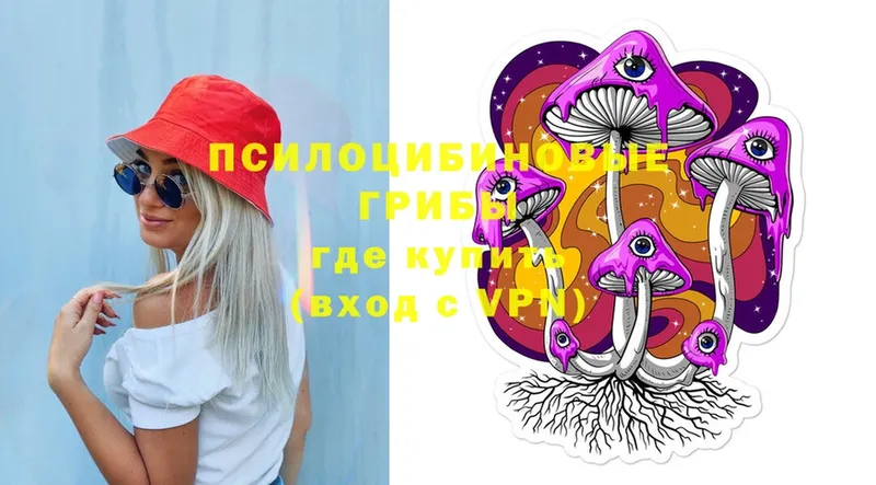 Галлюциногенные грибы Psilocybe  Долинск 